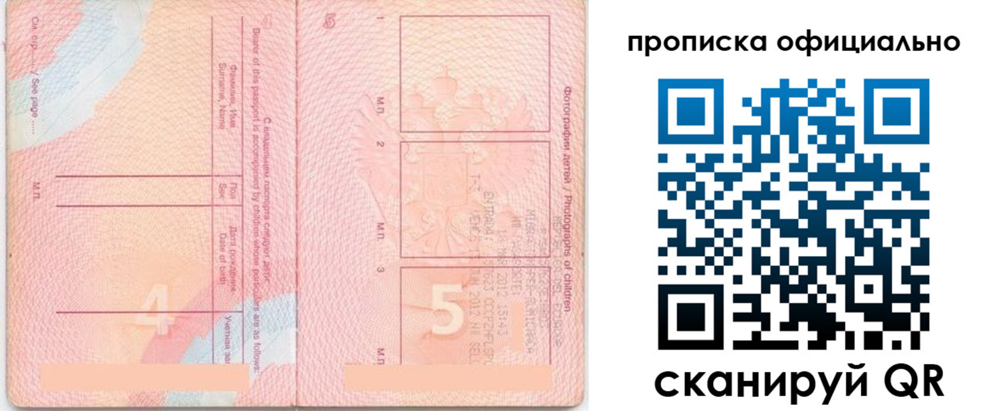 прописка для школы в Вязьме